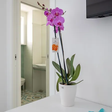 Pusiso - De Vivo Realty Guest house Sorrento